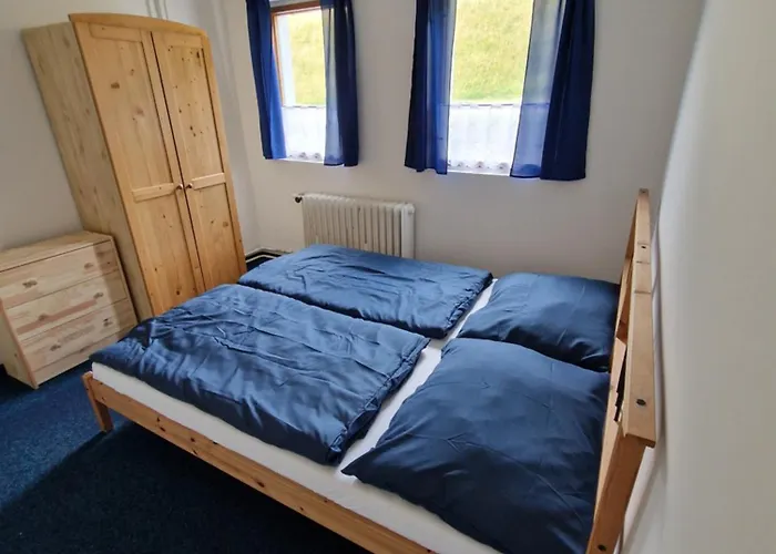 Piana 페츠포드 스녜즈코우